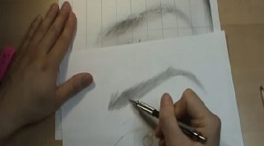 How to Draw Eyebrows Realistically | Pencil Drawing Lessons | Portrait