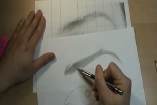 Drawing Realistic Portrait Series [5 of 8] – How To Draw The Eye Brow