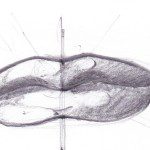 Lips drawing front view