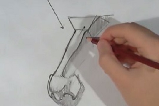 How To Draw A Nose Step-By-Step (3/4 view)