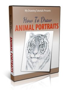 How To Draw Animal Portrait Ecover Reduced