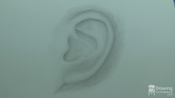 Ear Drawing 10