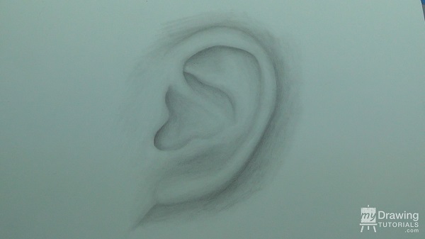 Ear Drawing 11