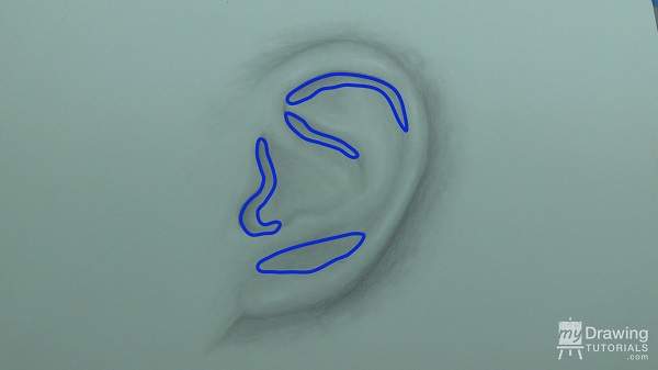 Ear Drawing 3