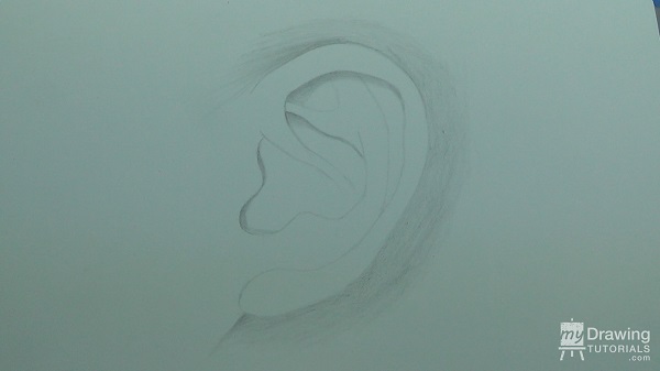 Ear Drawing 5