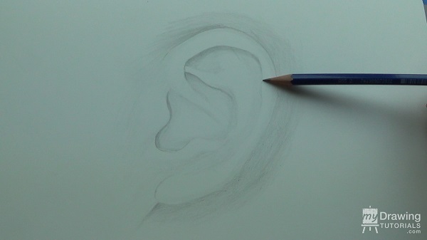 Ear Drawing 7