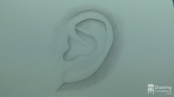 Ear Drawing 9