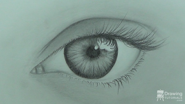 Eye Drawing 13