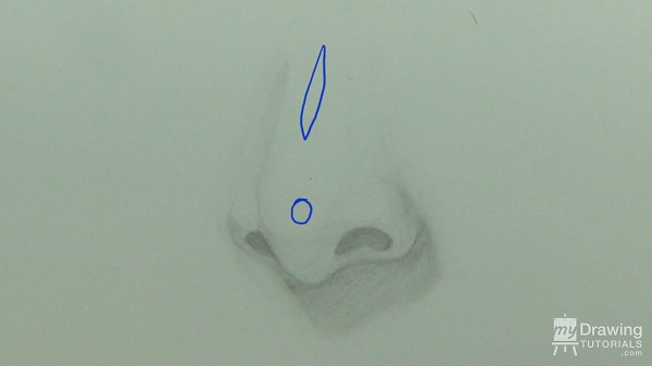 Nose Drawing 10