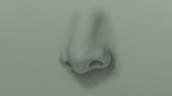 Nose Drawing 12 (Final Drawing)