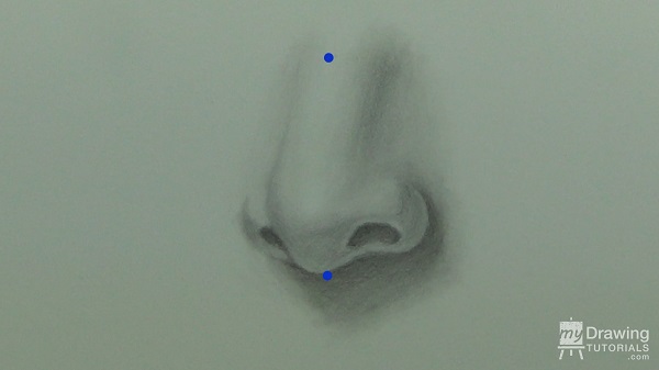 Nose Drawing 2