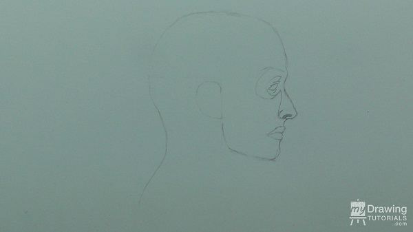 Human Head & Muscle Drawing 9