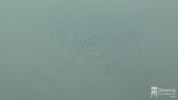 Rose Drawing 2