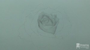 How To Draw A Rose | My Drawing Tutorials