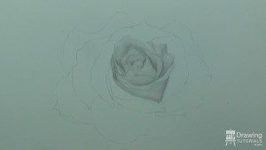 How To Draw A Rose | My Drawing Tutorials