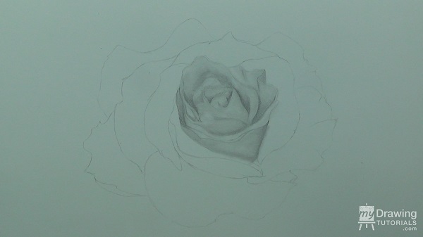 Rose Drawing 5