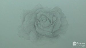 How To Draw A Rose | My Drawing Tutorials