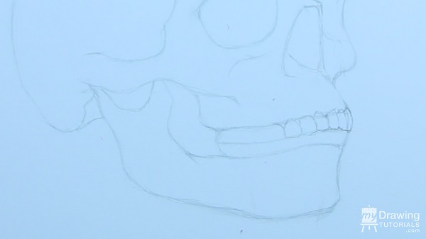 Skull Drawing 13