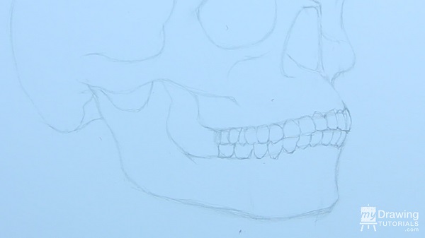 Skull Drawing 14