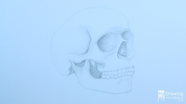 Skull Drawing 15