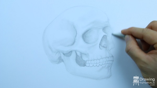 Skull Drawing 16