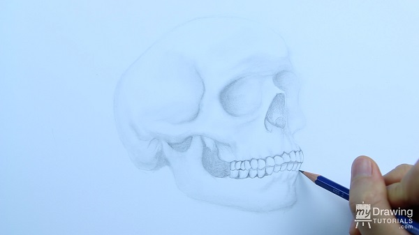 Skull Drawing 17