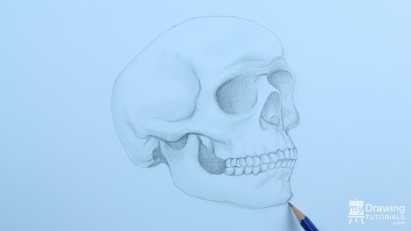 Skull Drawing 18