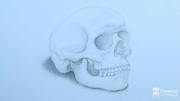 Skull Drawing 19