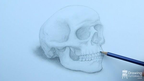 Skull Drawing 20