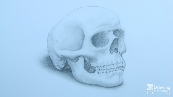 Skull Drawing 21