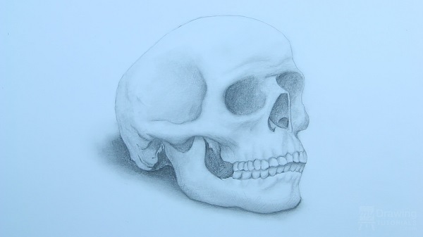 Skull Drawing 22