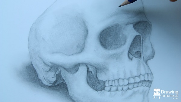 Skull Drawing 23