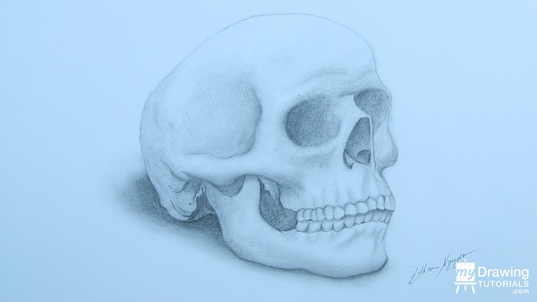 How To Draw A Skull In 3/4 View