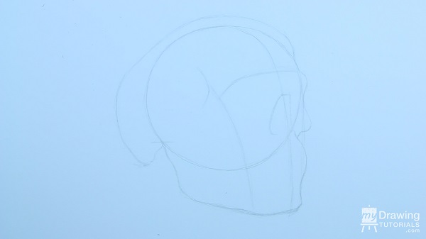 Skull Drawing 7