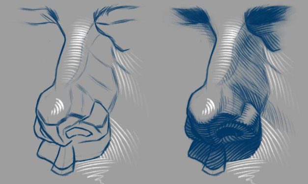 Nose Drawing Course (4/8) – Easy Way to Add Anatomy to Your Nose Drawing